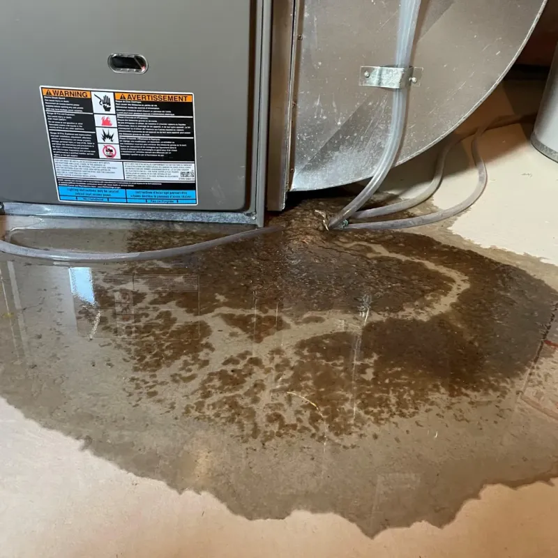 Appliance Leak Cleanup in Warrick County, IN